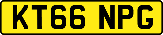 KT66NPG