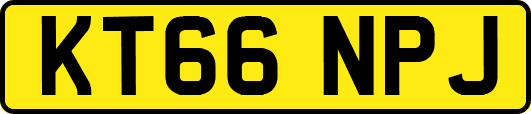 KT66NPJ