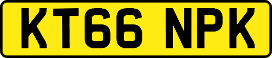KT66NPK