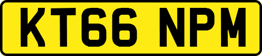 KT66NPM
