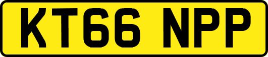 KT66NPP