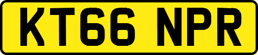 KT66NPR