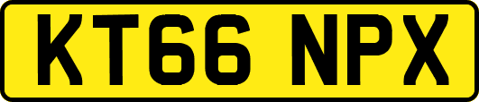 KT66NPX