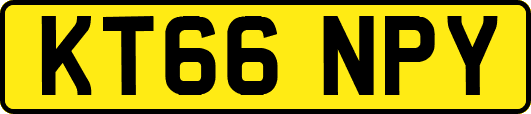 KT66NPY