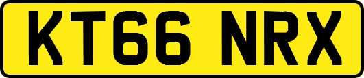 KT66NRX