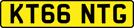 KT66NTG