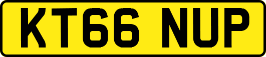 KT66NUP