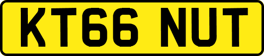 KT66NUT