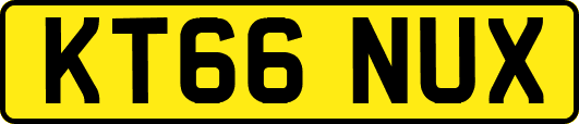 KT66NUX