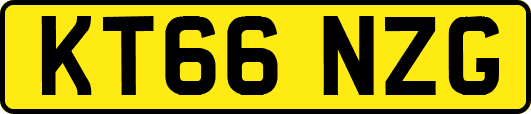 KT66NZG