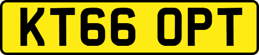 KT66OPT