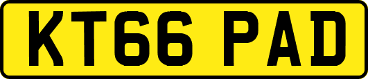 KT66PAD