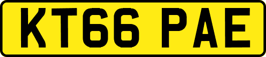 KT66PAE
