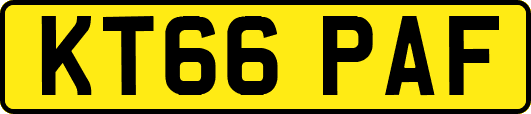 KT66PAF
