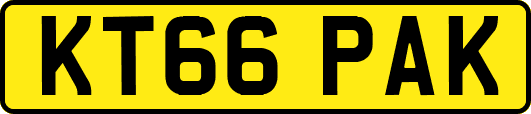 KT66PAK