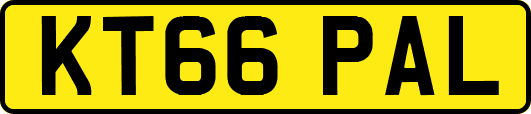 KT66PAL