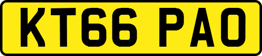 KT66PAO