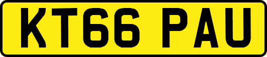 KT66PAU