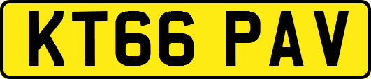 KT66PAV