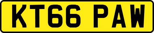 KT66PAW