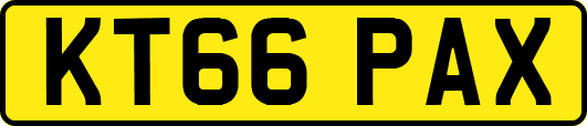 KT66PAX