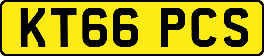 KT66PCS