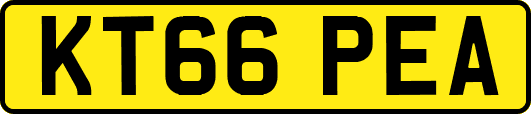 KT66PEA