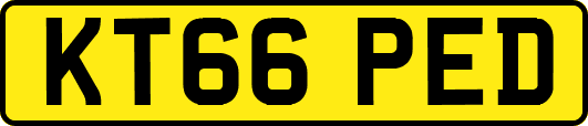 KT66PED