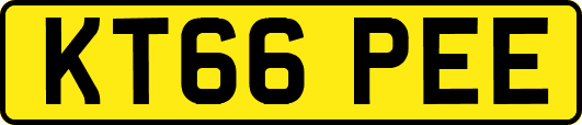 KT66PEE