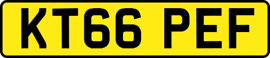 KT66PEF