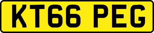 KT66PEG