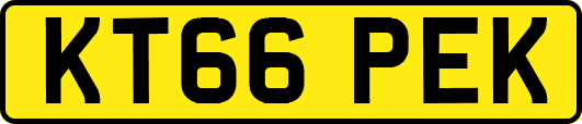 KT66PEK