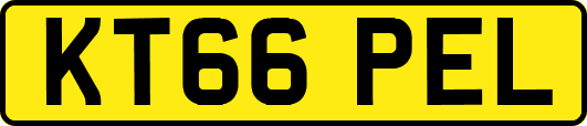 KT66PEL