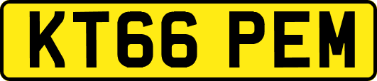 KT66PEM