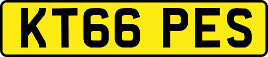 KT66PES