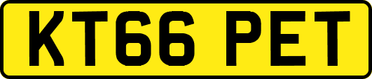 KT66PET