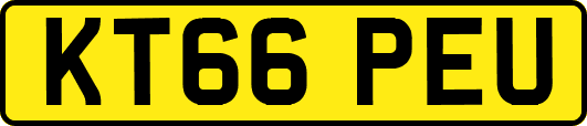 KT66PEU