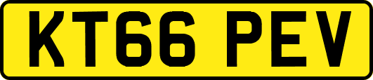 KT66PEV