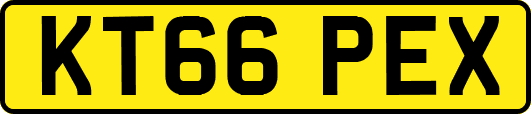 KT66PEX