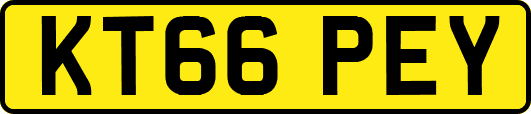 KT66PEY