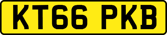 KT66PKB