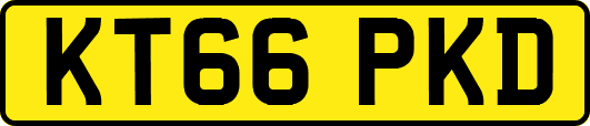 KT66PKD