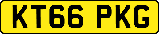 KT66PKG