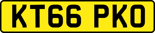 KT66PKO