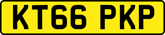 KT66PKP