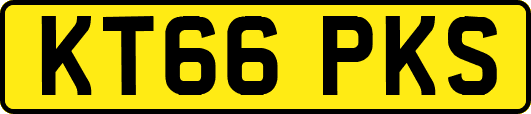 KT66PKS
