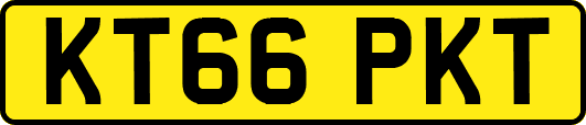 KT66PKT