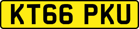 KT66PKU