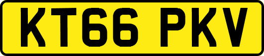 KT66PKV