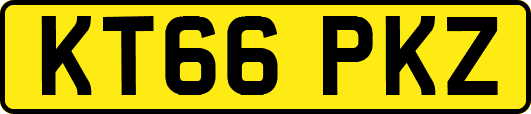 KT66PKZ
